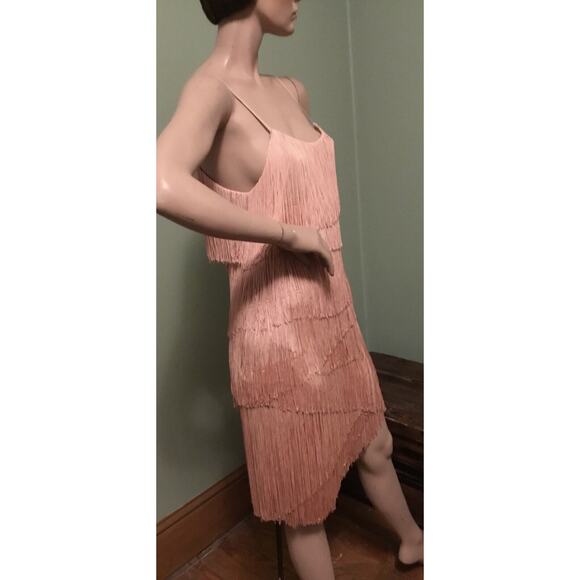 Haute Hippie Peach Rayon/Silk Fringe Flapper DRESS Roaring 20s/Gatsby Sz XS - Picture 6 of 9